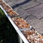 gutter cleaning