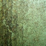 Prevent Mould Growth